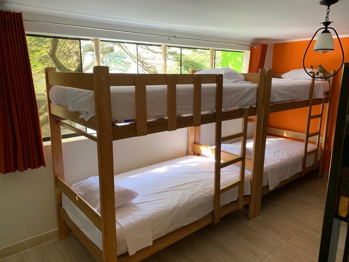 Eco Wasi Backpackers Lima